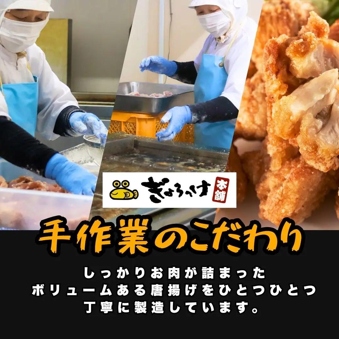 からあげ 大分名物しょうゆからあげ×10袋 | 唐揚げ　FN-Limited-PR