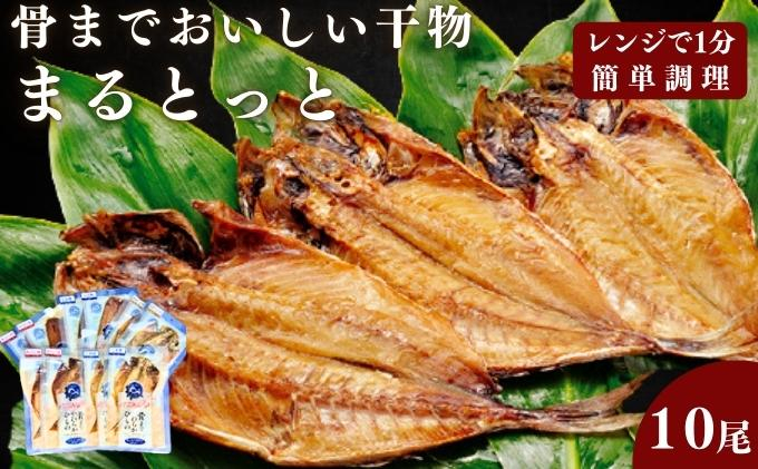 
骨までおいしい干物「まるとっと」お手軽1尾セット [№5303-0172]
