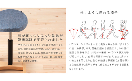 バランス シナジー(カバー付き)ラウンドシート/スクエアシート 椅子 いす イス 腰痛 腰痛対策 腰痛予防 姿勢 ブナ材 岐阜県 美濃市 S/本体B+カバーB