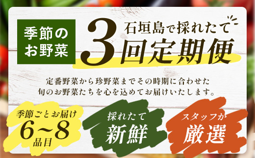 石垣島産 野菜BOX【３回定期便】（６~８種類）季節ごとに野菜パワーをあなたに！！CK-2【野菜セット おまかせセット 旬 季節のお野菜 旬の野菜セット 詰め合わせ 定期便３回 定番野菜 島野菜 沖縄