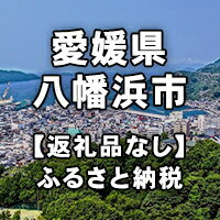 【ふるさと納税】愛媛県八幡浜市への寄付（返礼品はありません）
