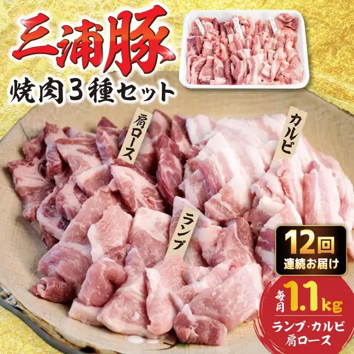 【12回定期便】 豪華 三浦豚 1.1kg 焼肉セット 肩ロース カルビ ランプ / 恵那市 / あづま精肉店 [AUDL020]