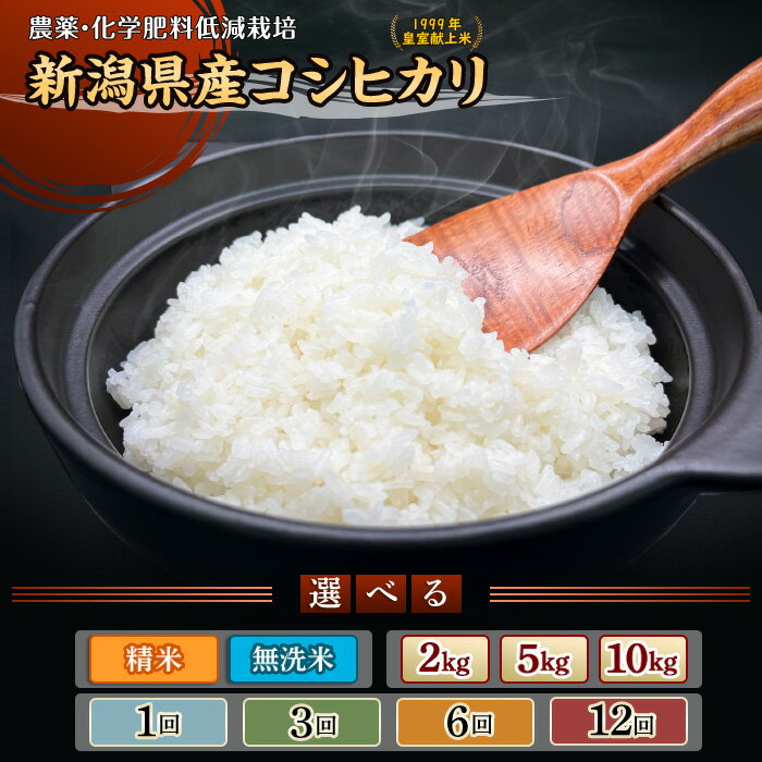 【ふるさと納税】令和7年産 米 無洗米 定期便 5kg 6kg 10kg 小分け 2kg×3袋 5kg×2袋 新潟 コシヒカリ 精米 白米 お米 選べる 1回 3回 6回 12回 3ヶ月 6ヶ月 12ヶ月 新潟こしひかり 新潟県胎内市産コシヒカリ（中条農産）