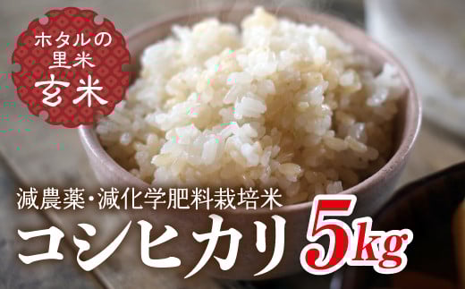 令和7年産 新米【ホタルの里米】環境に配慮し農薬を減らした栽培米 コシヒカリ玄米5kg 米 お米 おこめ ご飯 ごはん 福島県 西会津町 F4D-1855