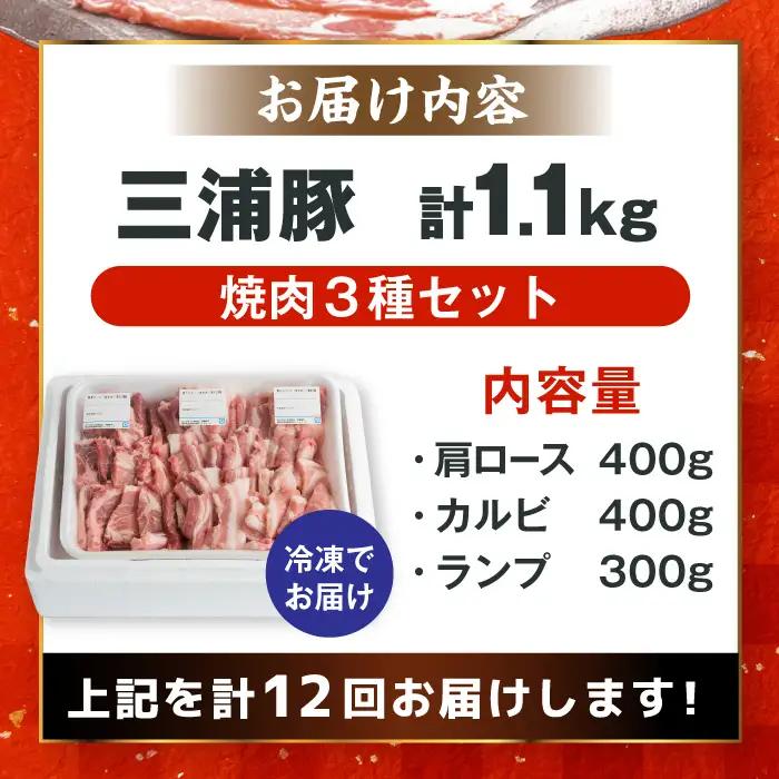 【12回定期便】 豪華 三浦豚 1.1kg 焼肉セット 肩ロース カルビ ランプ / 恵那市 / あづま精肉店 [AUDL020]
