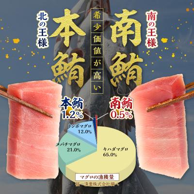 ふるさと納税 焼津市 マグロ 本マグロ 南マグロ 天然 中トロ 赤身 食べ比べ 柵 贅沢 720g(a40-119) |  | 01
