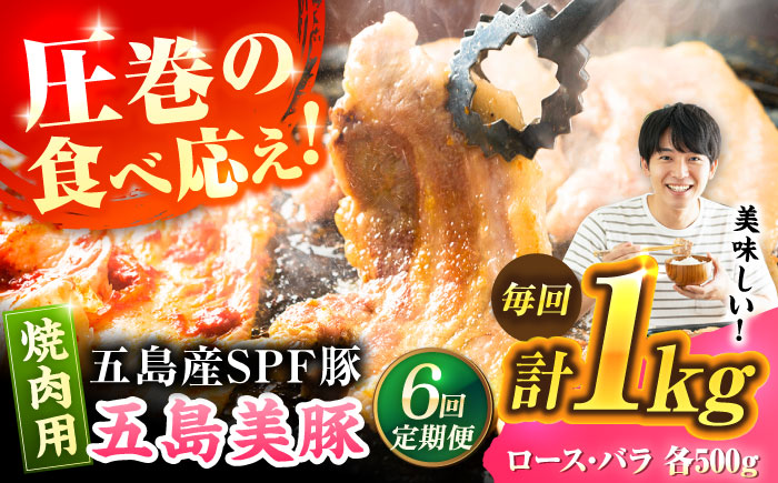 【6回定期便】五島美豚焼肉1kg（ロース500g バラ500g） 五島市/ごとう農業協同組合[PAF011]