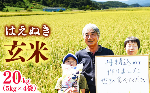 玄米 山形県産 はえぬき 20kg（5kg×4袋） 2025年産 令和7年産 20キロ 山形県寒河江市　072-C-MM048
