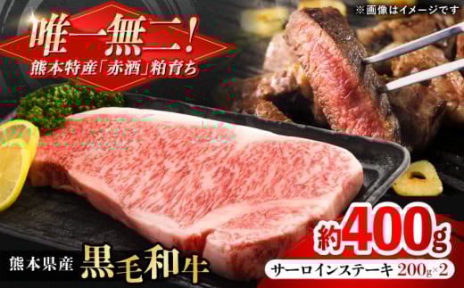 熊本県産 『原田畜産』 黒毛和牛 サーロイン ステーキ 計約400g（約200g×2枚） [AYCN049]