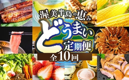渥美半島の恵み どうまい 定期便 全10回（ 野菜 セット いちご 餃子 焼き鳥 うなぎ とうもろこし ジェラート メロン 豚肉 ハム ) 青うなぎ 名古屋コーチン マスクメロン ご当地 人気 頒布会