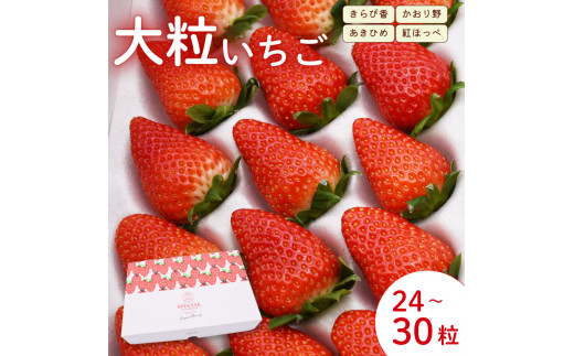 【先行予約：2025年4月発送】  いちご 大粒 24～30粒 苺 旬 産地 直送 フレッシュ イチゴ 紅ほっぺ 章姫 あきひめ きらぴ香 かおりの フルーツ 果物 国産 ジャパン ベリー 静岡県 藤枝市 