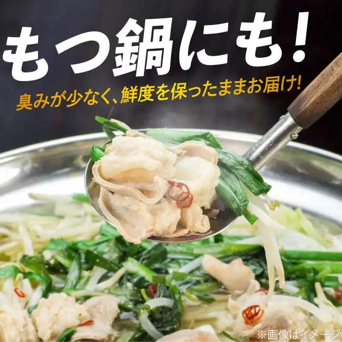 【全12回定期便】 【脂が甘くてぷりっぷり！】佐賀牛ホルモン 焼肉用 小腸 計6kg（250g/袋）味付けなし 吉野ヶ里町/やきとり紋次郎[FCJ093]