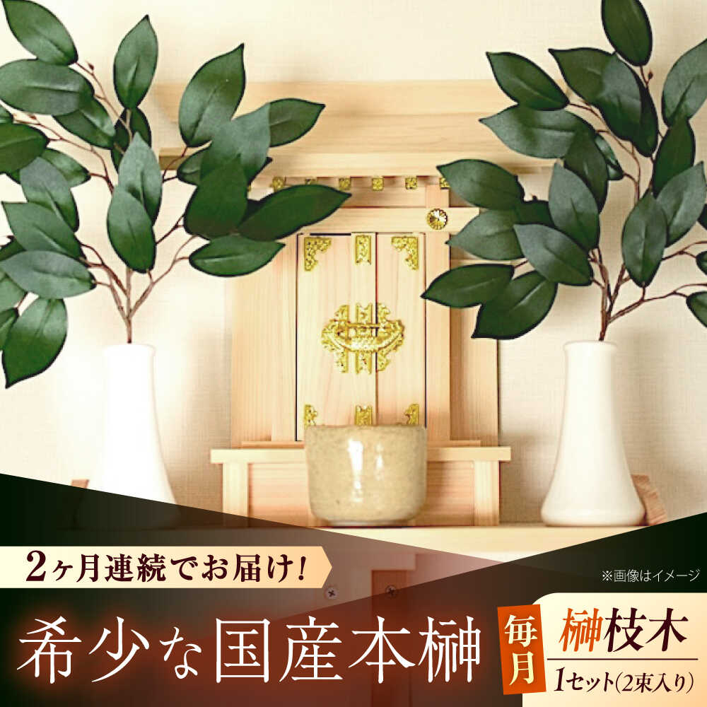 【ふるさと納税】【全2回定期便】植物 備後・榊（サカキ）切り枝 1束サイズ1セット（2束入り） おすすめ 人気 神具 仏花 生花 定期購入 定期便 新鮮 青々 長持ち 送料無料 毎月 隔月 曜日指定可能 本榊 さかき 国産 神棚 枝木 広島県福山市/小林商事[BAEA011]