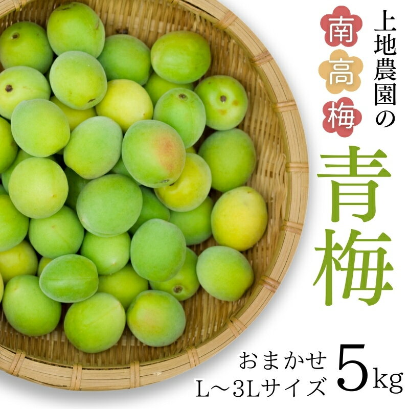 【ふるさと納税】 【6/4までの受付！】L-3Lサイズの混合！ 訳あり ご家庭用 南高梅 青梅 5kg【2026年5月下旬から6月上旬までに順次発送】/ 梅 梅酒 梅干 梅干し うめ ウメ 青梅 生梅 梅ジュース 梅シロップ 健康 夏バテ防止 夏バテ対策 クエン酸 期間限定 三重県産