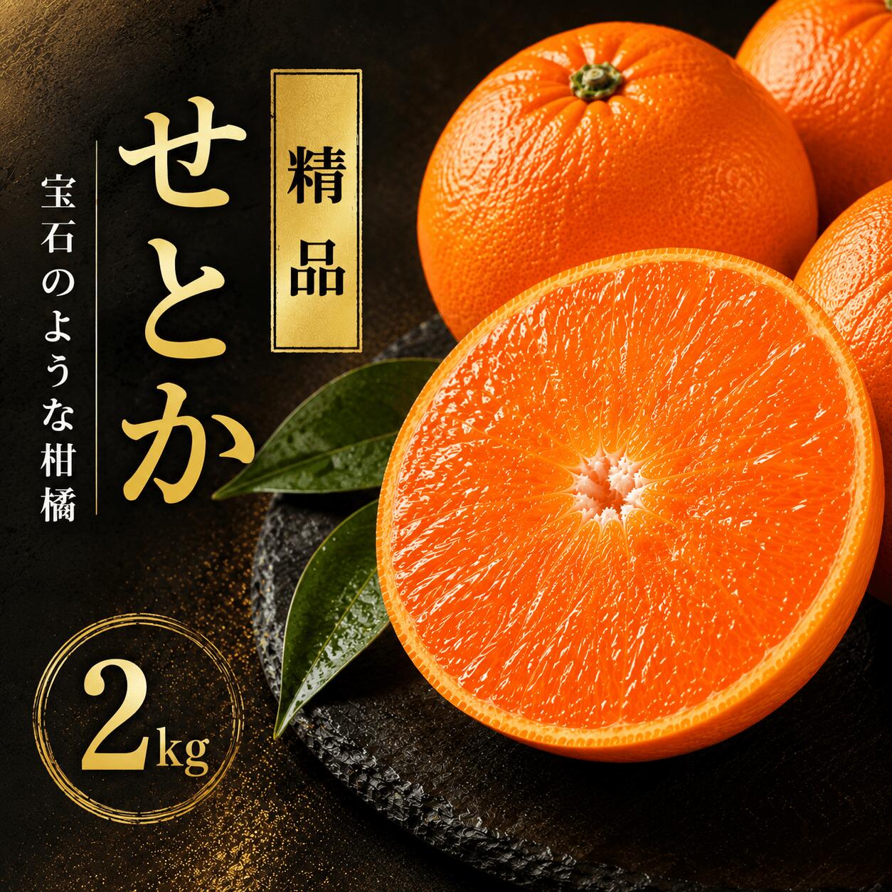 【ふるさと納税】 先行予約 せとか 2kg 精品 ハウス栽培 柑橘 フルーツ 果物 蜜柑 みかん くだもの mikan かんきつ オレンジ せとか 高級柑橘 デザート 果実 甘い ジューシー おいしい 特産品 国産 農園 直送 産地 直送 ギフト 贈答 プレゼント 愛媛県 愛南町 豊田農園