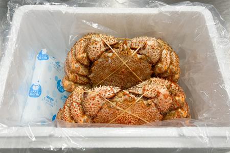 【北海道根室産】浜ゆで毛がに600～700g×2尾 F-05004