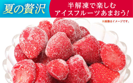 福岡県産 冷凍あまおう1ｋg(250g×4個) ＜木村食品＞ 那珂川市[GFR035]