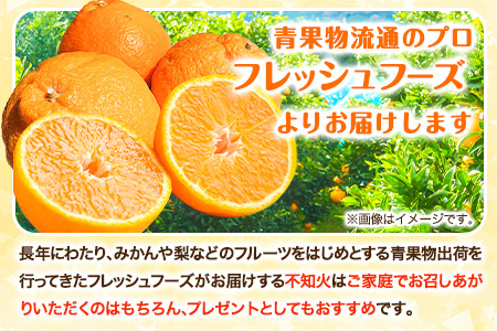 不知火 約 4.5kg～ 5kg みかん《2月下旬-4月下旬頃出荷》熊本県産(荒尾市産含む) 柑橘 フルーツ フレッシュフーズ 不知火 果物 デコポン と同品種 送料無料 果物 シラヌヒ シラヌイ フ