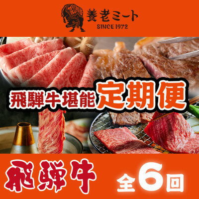 【ふるさと納税】【毎月定期便】月替わりで色々な飛騨牛を楽しめる全6回【配送不可地域：離島】【4051414】