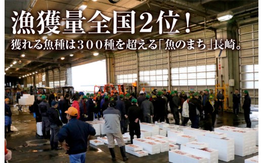 [A272b］ 《定期便》高級白身魚干物 ｢百花繚乱｣ 丸富水産【6回お届け】
