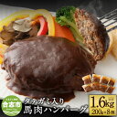 【ふるさと納税】タテガミ入り馬肉ハンバーグ 8個セット 合計約1.6kg 200g×8個 デミグラスソース ハンバーグ 馬肉 惣菜 おかず 真空パック 冷凍 熊本県 合志市 送料無料