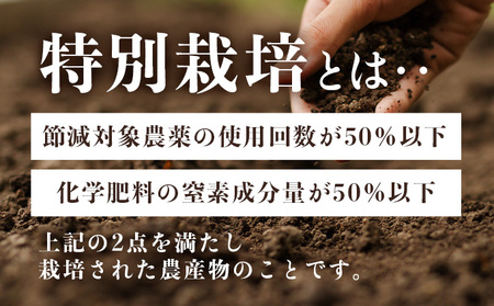 マイルドにんにく A級品 Lサイズ2kg【国産 にんにく A級品 Lサイズ 新鮮 野菜 長期保存 健康 贈り物 ギフト 東北 青森県 七戸町 送料無料】【02402-0320】