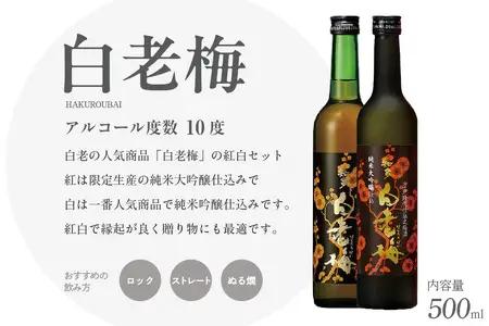 知多の梅酒「白老梅」純米吟醸、純米大吟醸のセット お酒 リキュール アルコール 佐布里梅 梅酒 澤田酒造 特産品 贈り物 ギフト 飲み比べ 晩酌 宅飲み 家飲み 純米吟醸 大吟醸 白老梅 愛知県 知多