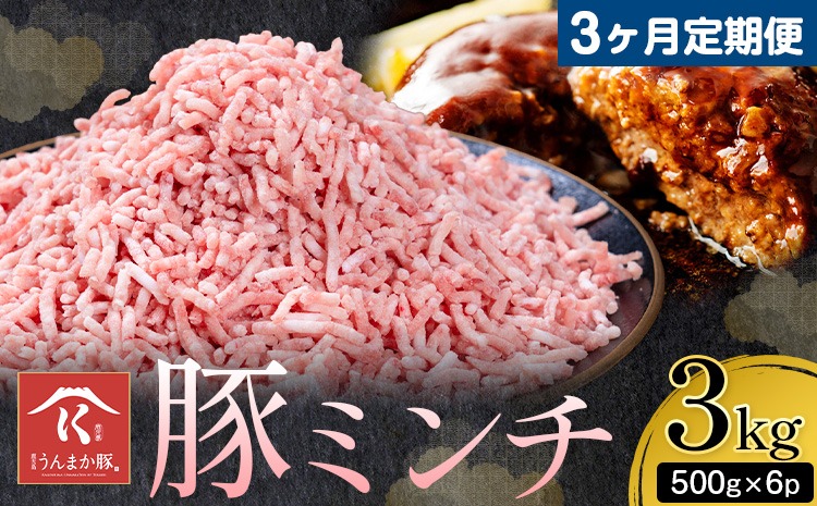 【3ヶ月定期便 】鹿児島 うんまか 豚ミンチ 計3kg (500g×6P) 株式会社寺師《お申し込みの翌月から出荷》鹿児島県 さつま町 豚肉 ミンチ 肉---stm-trs-19-mo3---