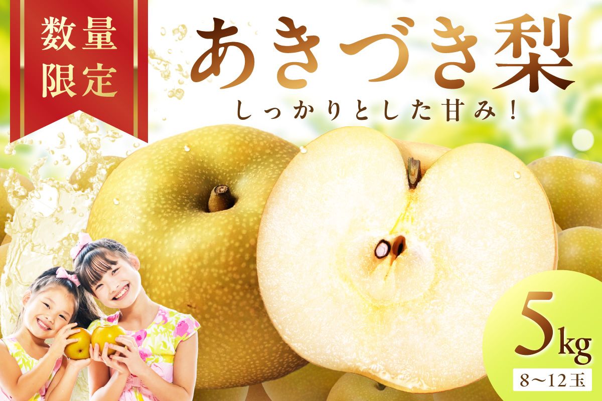 【先行予約／数量限定300】京丹後産 あきづき梨 5kg（8～12玉）（2026年9月中旬～発送）　DE00161