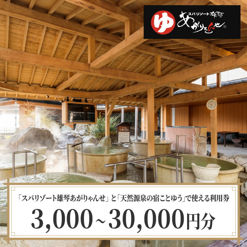 【ふるさと納税】スパリゾート雄琴あがりゃんせ と 天然源泉の宿ことゆう で使える 利用券（3,000円～30,000円分）