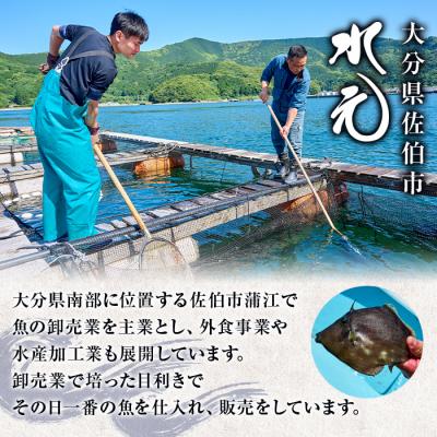 ふるさと納税 佐伯市 <定期便・全3回 (隔月)> 訳あり 骨取り 白身魚 切身 (総量3.6kg・計1.2kg×3回) |  | 01