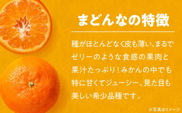 まどんな みかん 愛媛 みかん まどんな 柑橘