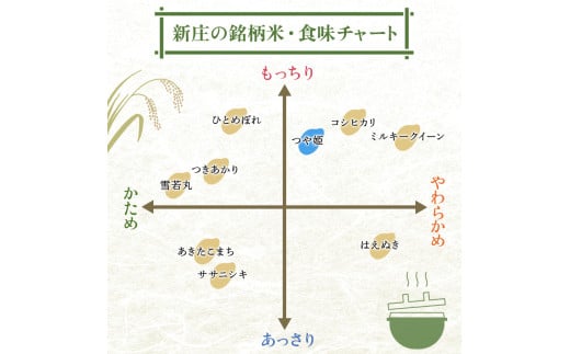 令和6年産 つや姫 5kg×2 計10kg 精米 【最上ノ米蔵】 山形県産 特別栽培米 こめ お米 米 白米 F3S-2220