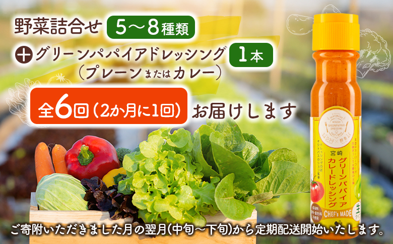 産地直送！旬の野菜（5～8種類）＆ドレッシング セット 全6回 隔月定期便 2か月に1回お届け おまかせ 詰合せ 宮崎県新富町産【E214】