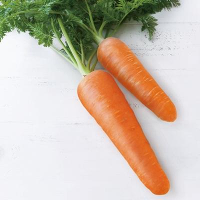 ふるさと納税 岸和田市 「花塩昆布・にんじん塩昆布」創作塩昆布セット |  | 02