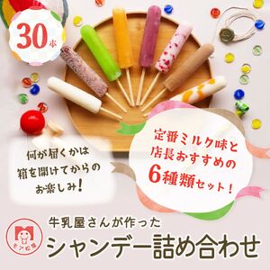 アイスキャンディー おまかせ6種 30本 創業71年 モア松屋 保存料不使用 卵不使用 シャンデー