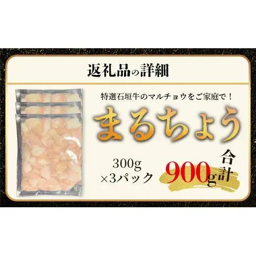 マルチョウ300g×3パック　IM-13