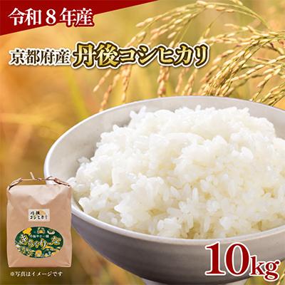 ふるさと納税 京都府 【令和8年産】京都府産 丹後コシヒカリ 精米 10kg