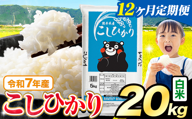 【12ヶ月定期便】令和7年産 米 白米 こしひかり 20kg《お申込み翌月から出荷》熊本県産 ふるさと納税 白米 精米 ひの 米 こめ ふるさとのうぜい コシヒカリ コメ お米 おこめ---reihoku_loc_717_mo12---