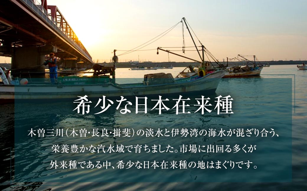 はまぐり 約1.5kg 特製だし汁付き 約1.5kg
