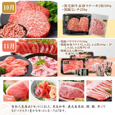 定期便8回配送　ぜいたく!!お楽しみ定期便　HH0-0001【1505356】 _ 定期便 肉 牛肉 魚介 鰹 エビ マグロ ホルモン ステーキ サーロイン ネギトロ 人気 おすすめ 送料無料 贈答 