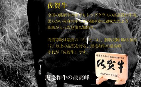 佐賀牛サーロインステーキ 200g×2枚：B345-004