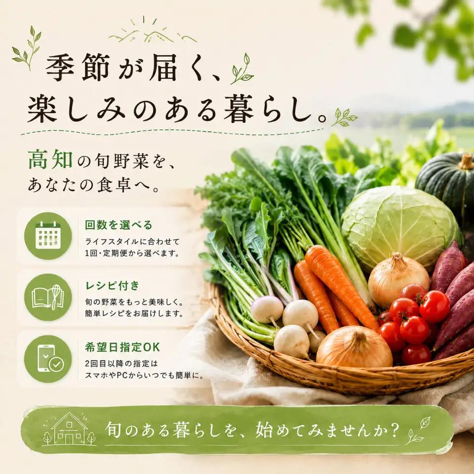 【ふるさと納税】＜南国高知から直送！旬の季節のお野菜セット（7～9品）＞高知県 佐川町 野菜便 詰め合わせ 旬の時期にお届け こうち育ち【冷蔵】