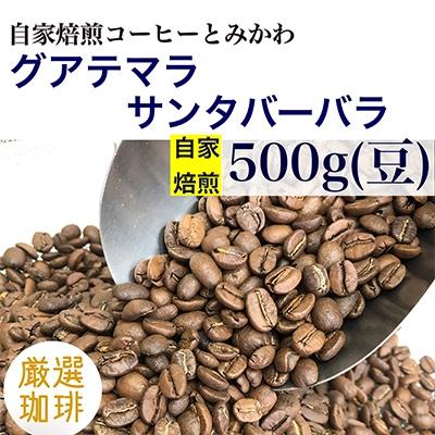 ふるさと納税 魚津市 【豆】グアテマラ　サンタバーバラ:500g(自家焙煎コーヒーとみかわ)