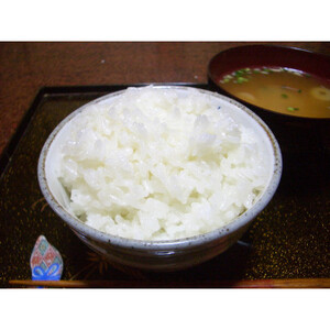 令和7年産千葉県産長狭米コシヒカリ精米10kg_お米 こめ おこめ 白米 コシヒカリ 長狭米 国産 限定 ごはん ご飯 白飯 ゴハン_【1576561】