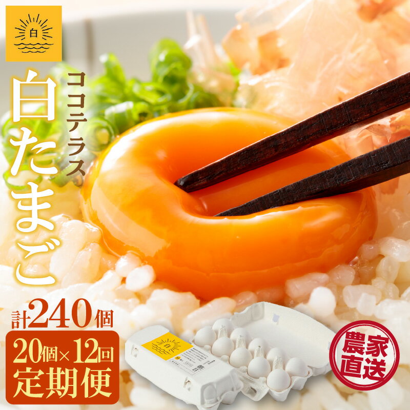 【ふるさと納税】【12ヵ月定期便】ココテラスの朝日（ 白たまご ）15個 + 5個保証【計20個】【 JGAP認証 】農家直送 新鮮 卵 純植物性飼料 飼料にこだわった 卵かけご飯 米たまご 大容量 卵 定期 送料無料