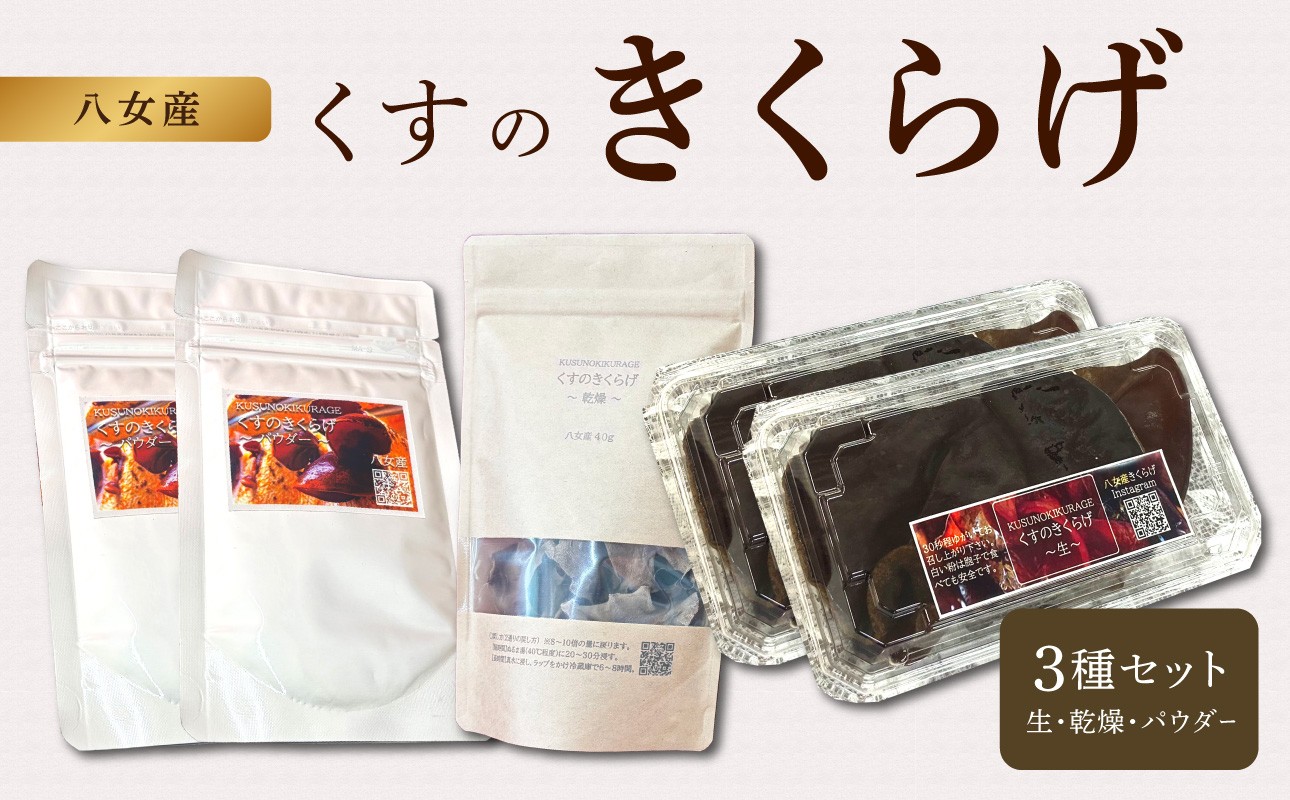 
                  くすのきくらげ 3種セット(生きくらげ・乾燥きくらげ・パウダーきくらげ） 国産 八女産 肉厚 食物繊維 ビタミンD 腸活 美容食 栄養 コリコリ 小分け 使い切り 炒め物 スープ ラーメン 中華 福岡県 八女市
                