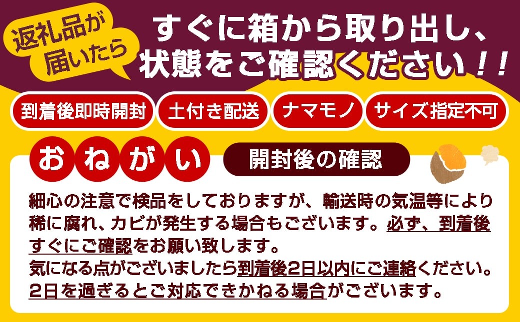 先行受付!【10月お届け】【農家直送】山下農園　熟成紅はるか 5kg_LD-I704-10