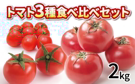 【先行予約】 トマト ミニトマト 2kg 3種 食べ比べ セット 冷蔵 詰め合わせ 千果 フルティカ 野菜 完熟 糖度 果物 スイーツ ジュース パスタ スパゲティー ソース サラダ ドレッシング 鍋 サンドイッチ ハンバーガー ピザ カレー ギフト 贈答 プレゼント お取り寄せ グルメ 送料無料 徳島県 阿波市