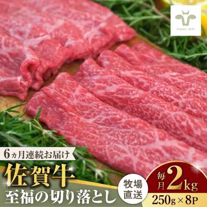 【全6回定期便】佐賀牛至福の切り落とし 計12kg（250g×8袋×6回） [41ASAA031]